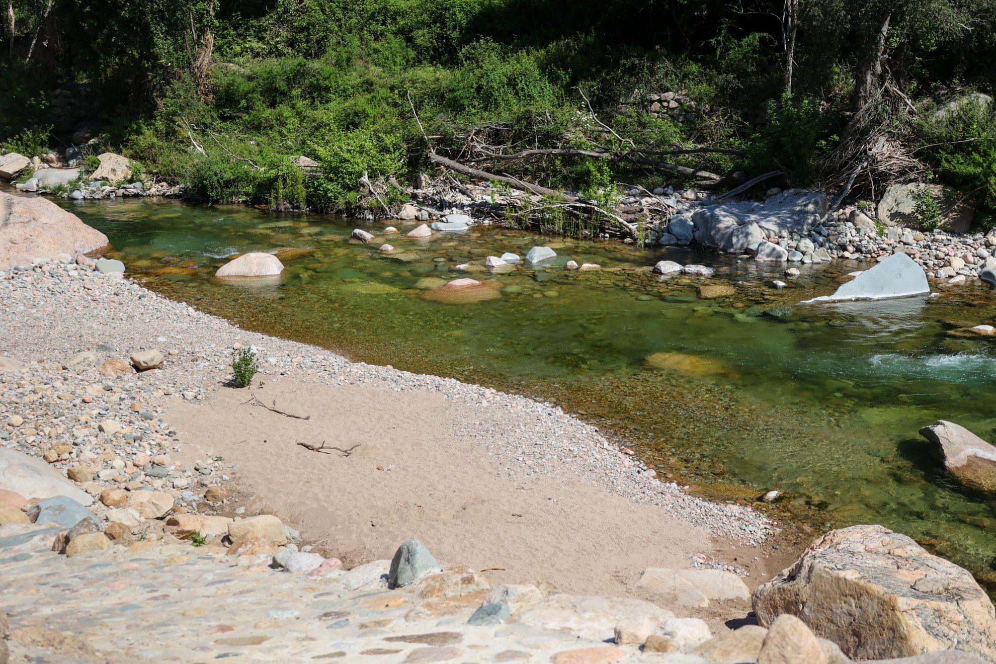 Torrent le Portu, Ota Corse