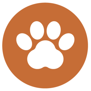 PICTO CASA DEL TORRENTE_animaux