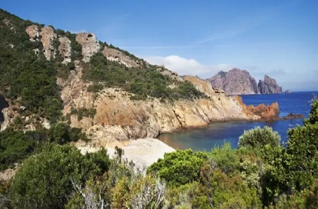 scandola ota corse